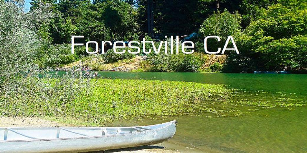 image-619490-forestvillecaslide.jpg