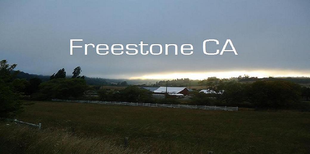 image-619491-freestonecaslide.jpg