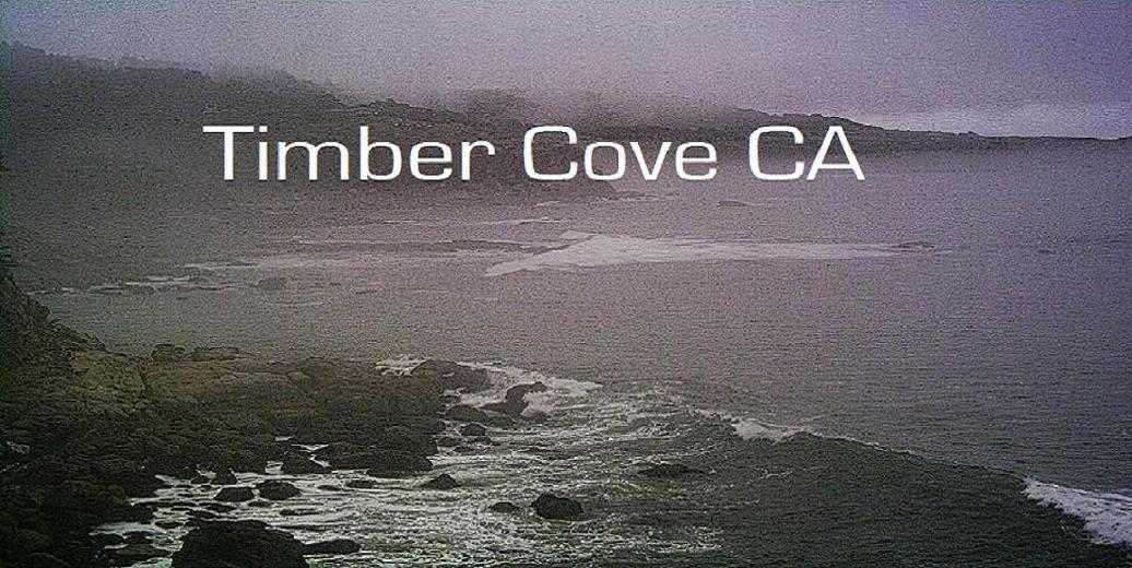 image-619497-timbercovecaslide.jpg